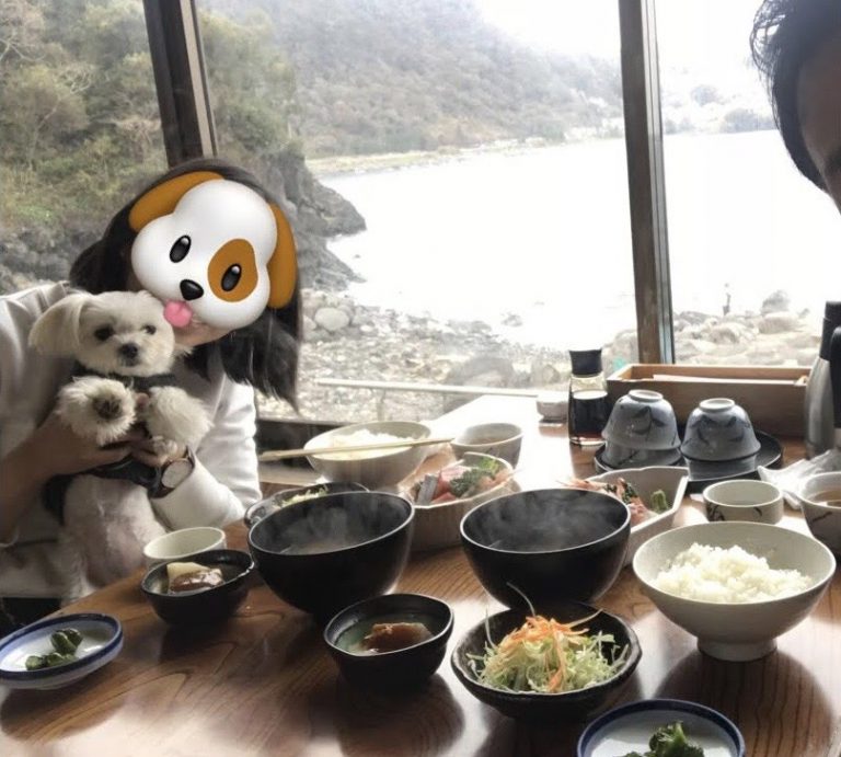 愛犬エマと海鮮伊豆ランチ「ぼら納屋」!!あったか店内でゆっくり(犬連れペット可・店内OK)