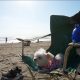 愛犬エマとの湘南鎌倉犬連れ観光~由比ヶ浜の浜辺でゆっくりと過ごす