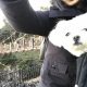 愛犬エマとの伊豆旅行!!ゆれる吊り橋と崖の伊豆城ヶ崎海岸で愛犬エマとビビる